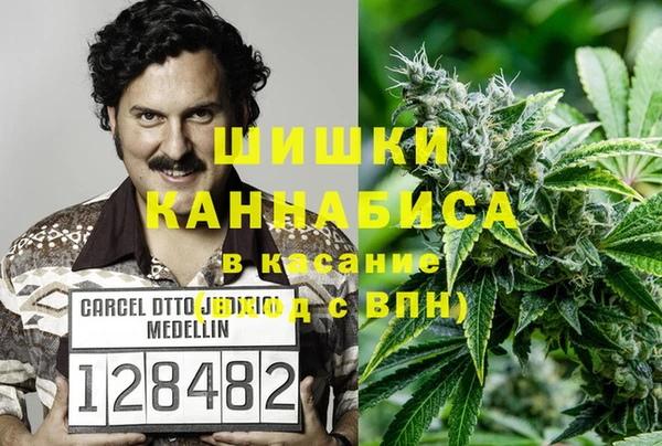 прущие крисы Надым