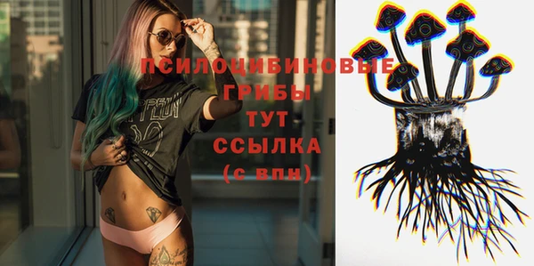 гашик Кущёвская