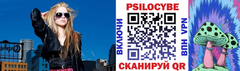 Купить закладки Крымск Псилоцибиновые грибы Psilocybe