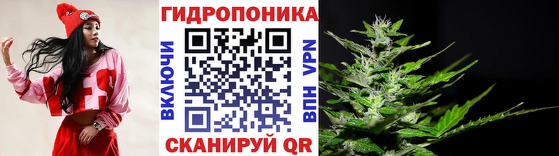 Шишки марихуана марихуана  Купить где  Крымск 